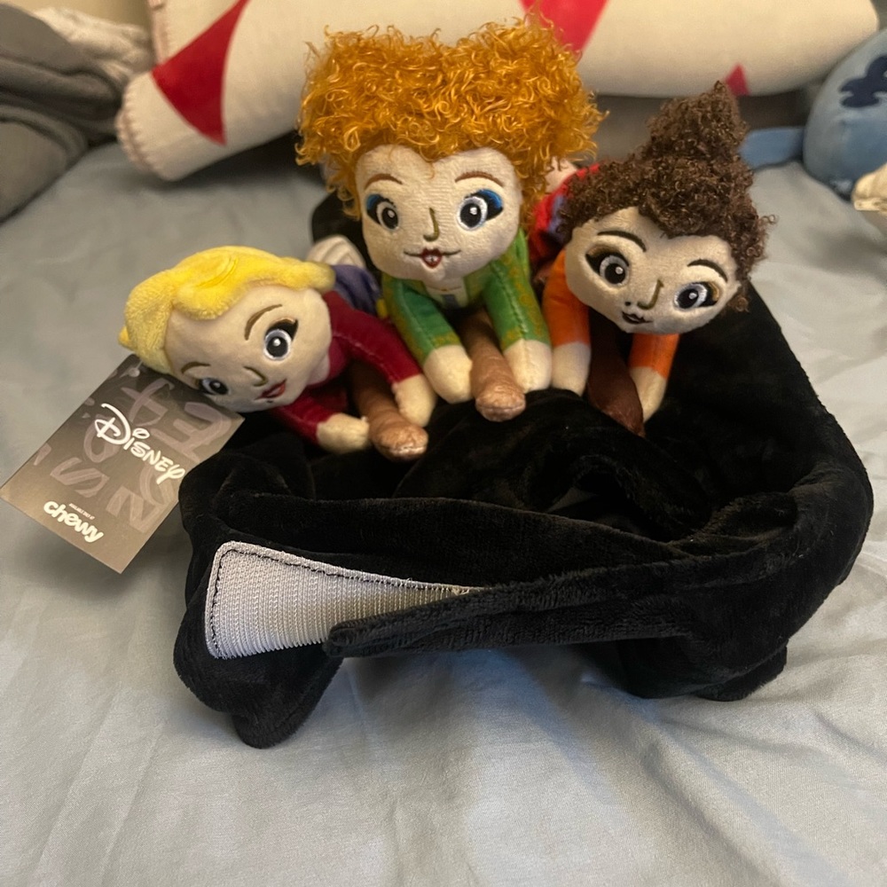 Hocus Pocus Costume Size:LARGE NWT